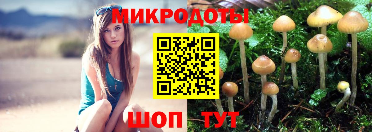 Псилоцибиновые грибы GOLDEN TEACHER Каменка