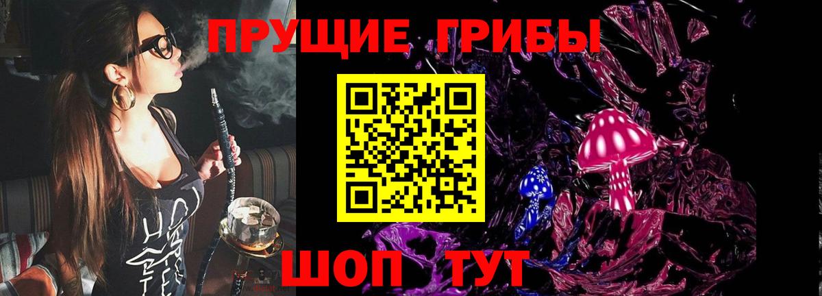 наркота  Вход с VPN  Псилоцибиновые грибы прущие грибы  Каменка  Псилоцибиновые грибы прущие грибы 